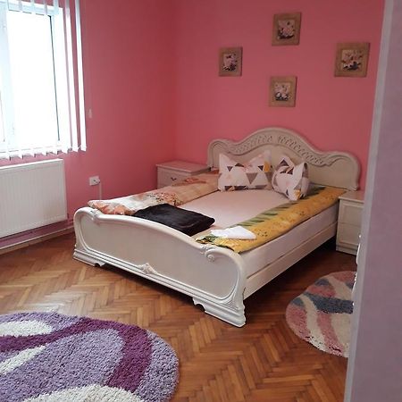 Casa Ade Appartement Călimăneşti Buitenkant foto