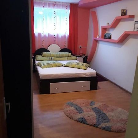 Casa Ade Appartement Călimăneşti Buitenkant foto