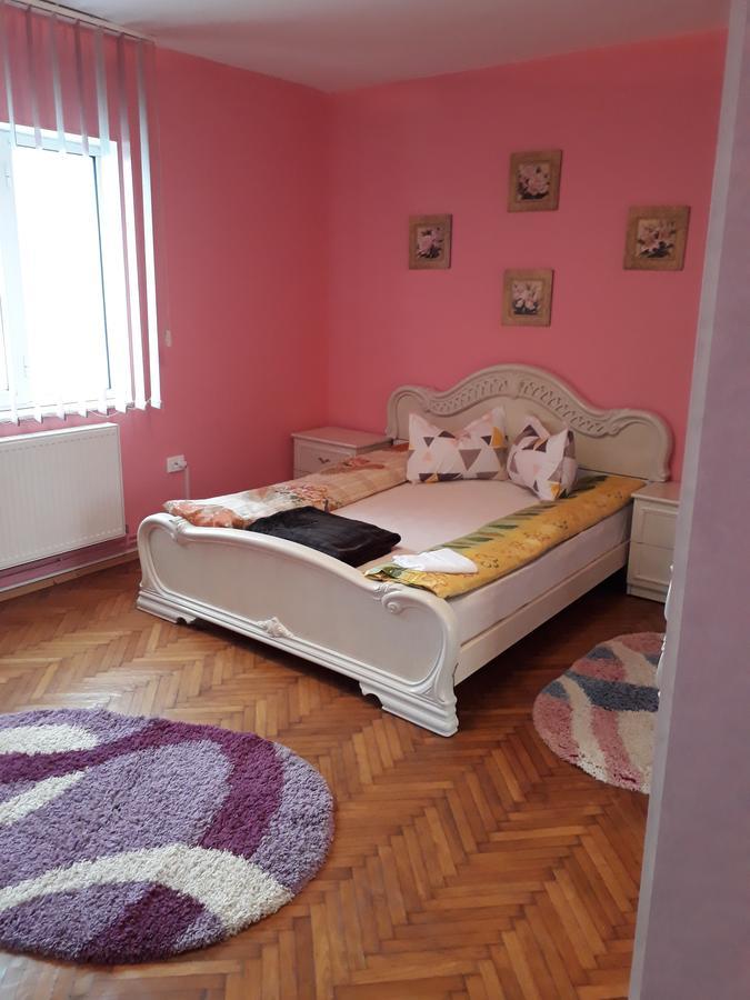 Casa Ade Appartement Călimăneşti Buitenkant foto