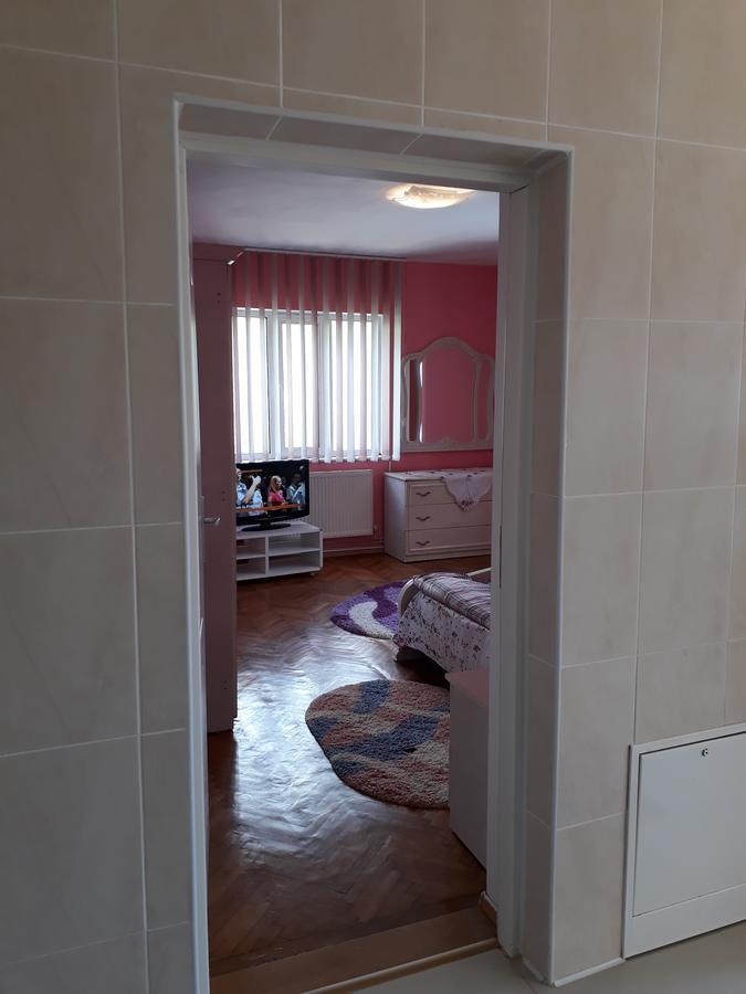 Casa Ade Appartement Călimăneşti Buitenkant foto