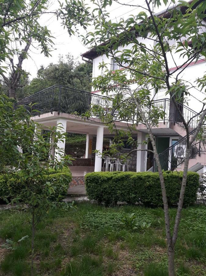 Casa Ade Appartement Călimăneşti Buitenkant foto