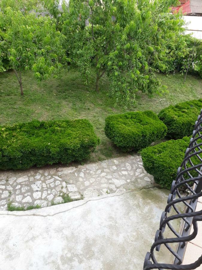 Casa Ade Appartement Călimăneşti Buitenkant foto
