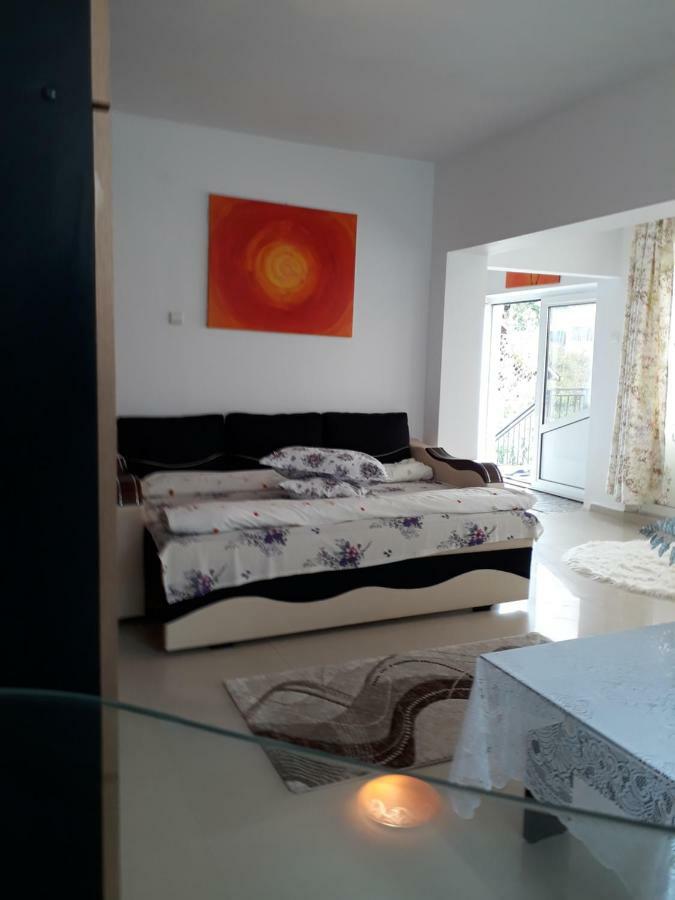 Casa Ade Appartement Călimăneşti Buitenkant foto